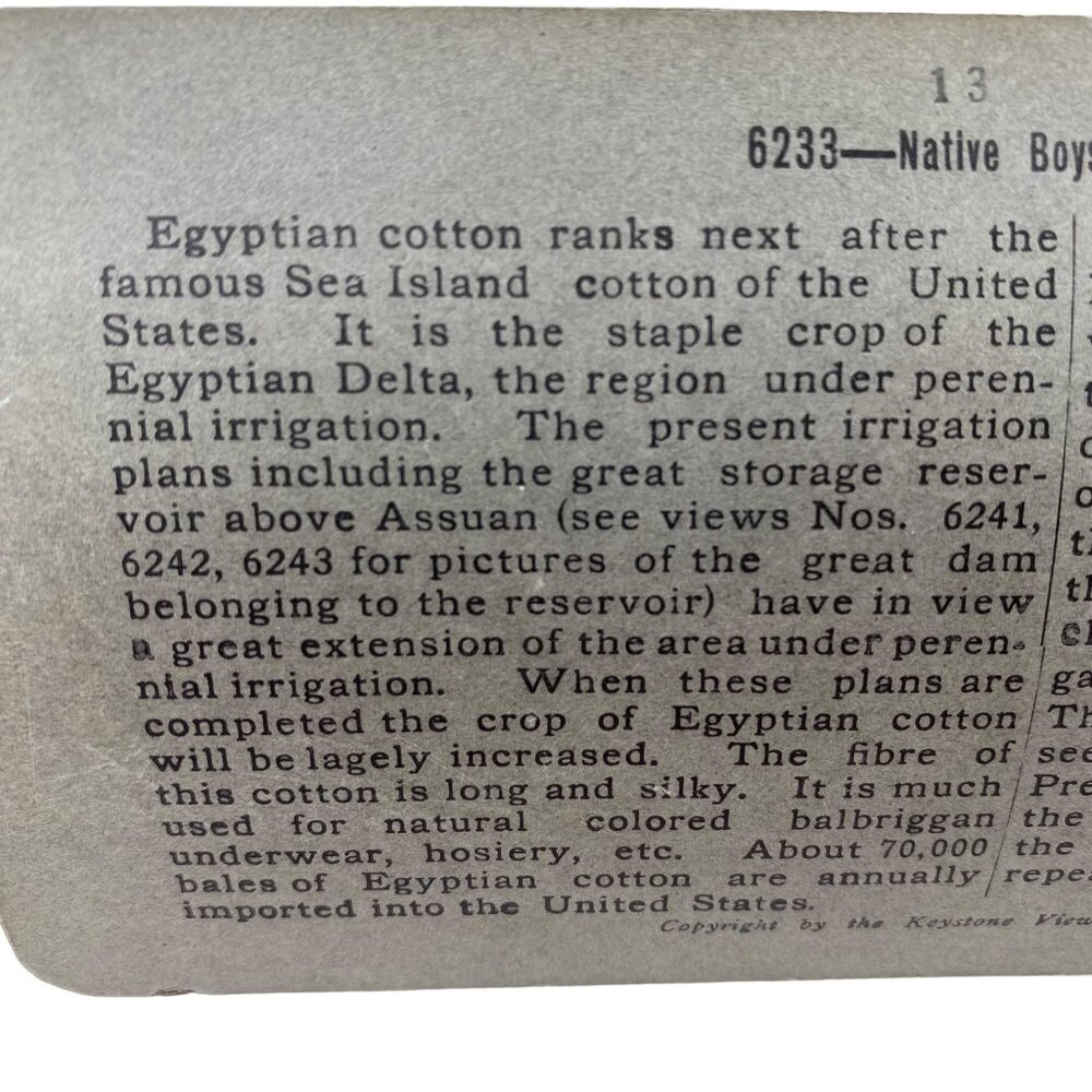Antique 1905 Stereoview Photo Card Native Boys Spinning Cotton Egypt Keystone - Picture 7 of 10
